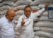 Stok Beras 3,1 Juta Ton, Bapanas: Penyaluran Ditunda Hingga Panen Raya Selesai