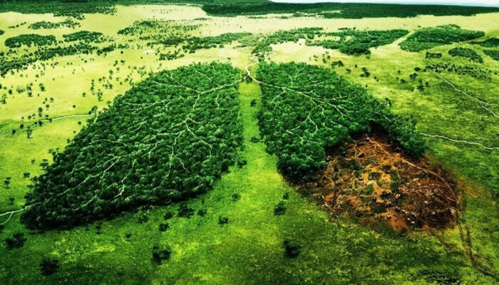 Kapolri Ingatkan Deforestasi Jadi Ancaman Serius: Karhutla Ancam Paru-Paru Dunia