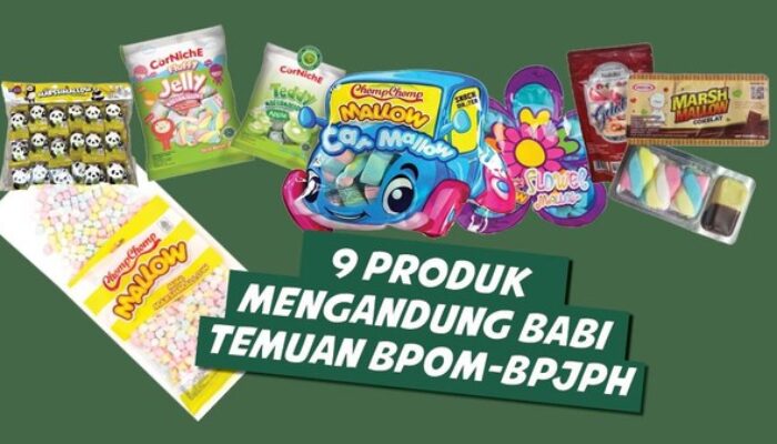 BPOM dan BPJPH Ungkap 9 Jajanan Anak Mengandung Babi, KPAI Desak Proses Hukum