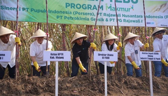 ID Food Dorong Petani Tingkatkan Produktivitas Tebu, Mengingat Rendahnya Produksi Nasional