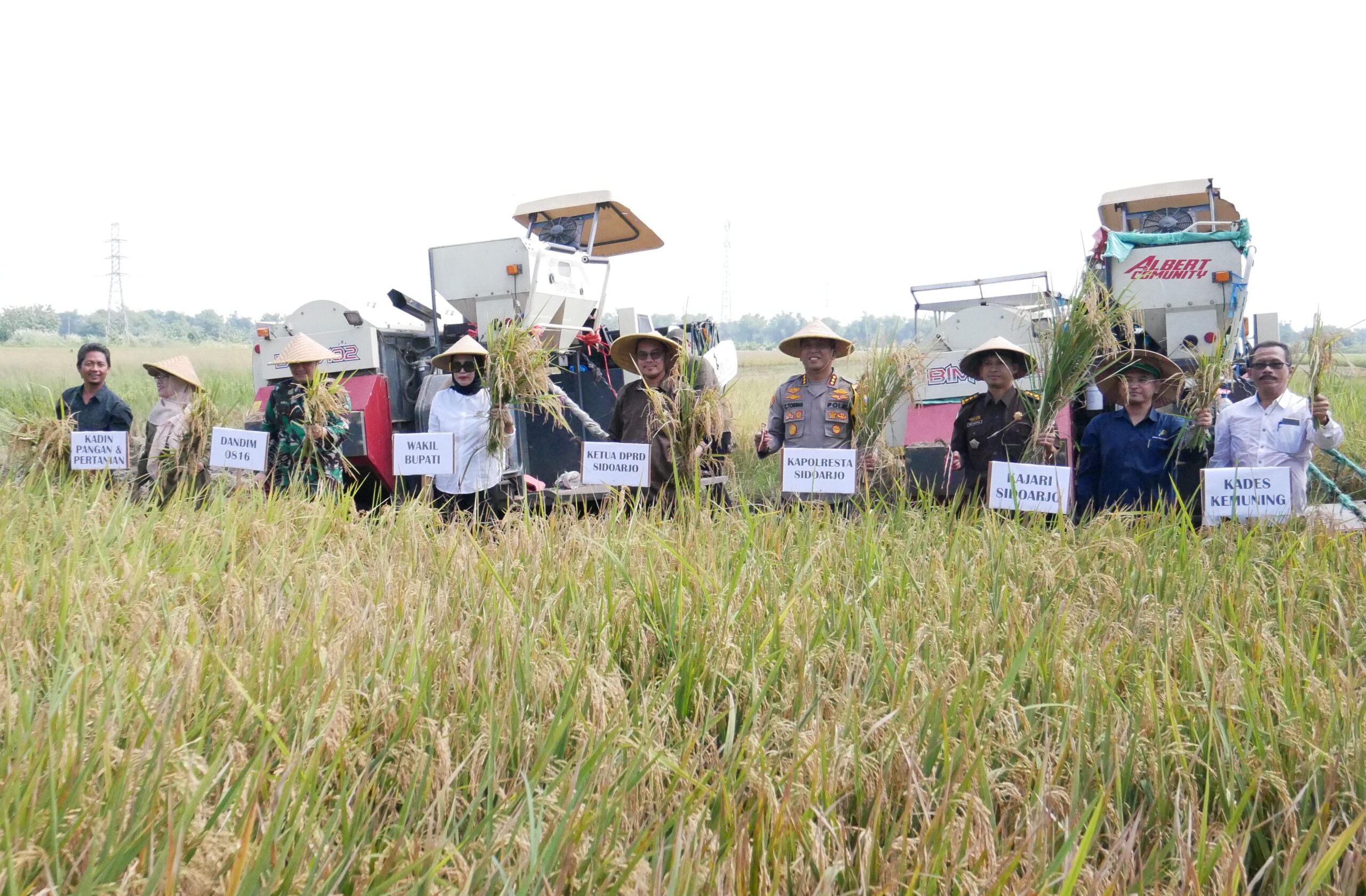 Forkopimda Sidoarjo lakukan panen Raya di Kecamatan Tariuk