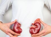 Waspada! 7 Kebiasaan Sepele Ini Bisa Diam-diam Merusak Ginjal Kamu