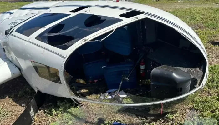 Seekor Penguin Jadi Penyebab Helikopter Jatuh di Afrika Selatan, Semua Selamat