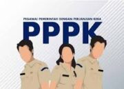Kasus Pemecatan Guru PPPK di Lombok Timur Jadi Pelajaran bagi ASN PPPK