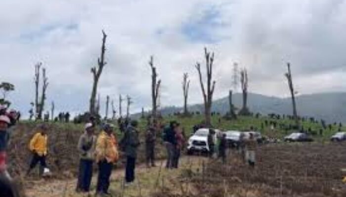 Bupati Bandung Tegaskan Tidak Ada Izin Alih Fungsi Kebun Teh di Pangalengan