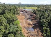 Dua Pekan Berlalu, Pelaku Tambang Ilegal di Hutan Unmul Masih Misterius
