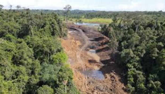 Dua Pekan Berlalu, Pelaku Tambang Ilegal di Hutan Unmul Masih Misterius