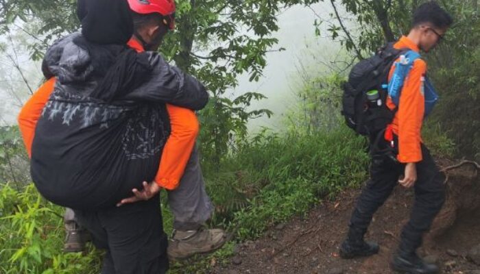 Pendaki Wanita Asal Bekasi Kolaps di Gunung Sindoro, Evakuasi Penuh Perjuangan Tim SAR
