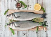 10 Jenis Ikan yang Aman Dikonsumsi untuk Penderita Kolesterol Tinggi