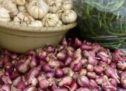 Harga Pangan 14 Mei 2025: Bawang Merah dan Minyak Goreng Turun, Beras Tetap Stabil