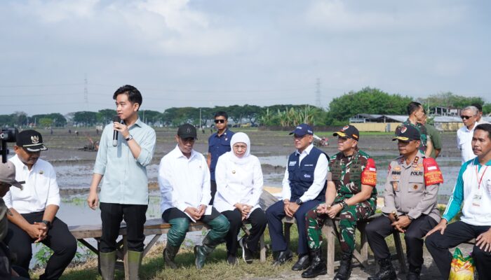 Pangdam V/Brawijaya Dampingi Wapres Gibran Tanam Padi: Komitmen Majukan Pertanian Nasional
