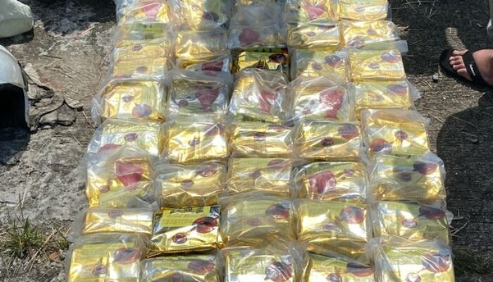 Bareskrim Polri Gagalkan Penyelundupan 50 Kg Sabu di Balikpapan, Dikemas dalam Bungkus Teh Cina