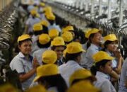 ASB dan Pemuda Indonesia Desak Penindakan Hukum terhadap Perusahaan yang Abaikan Kesejahteraan Karyawan