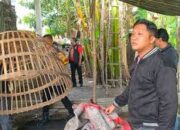 Judi Sabung Ayam di Surabaya Dibongkar Polisi, Puluhan Motor dan Ayam Disita