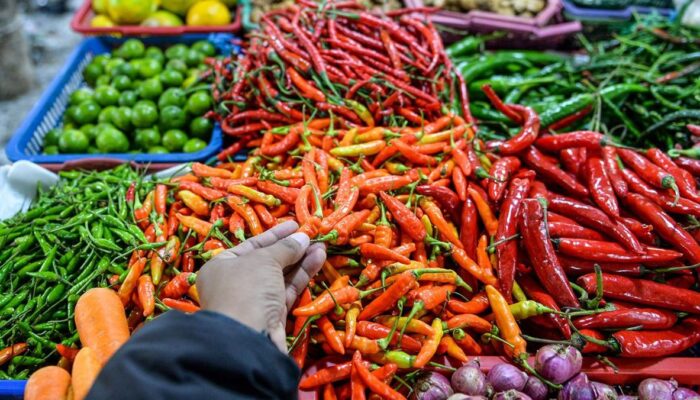 Harga Sembako Jatim 10 Mei 2025: Cabai Keriting, Bawang Merah Naik