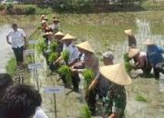 Petani Menang Gugatan Rp 1,5 Miliar, PT BAP Terancam Dieksekusi, Ormas GRIB Turun Tangan