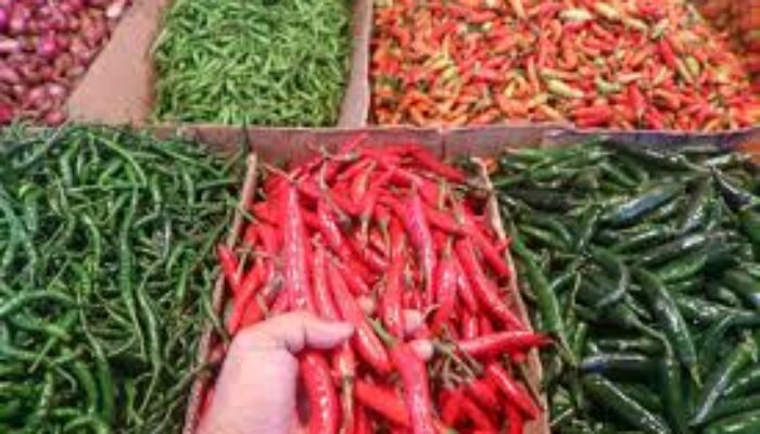Harga Pangan Hari Ini, 4 Mei 2025: Beras Masih Mahal, Cabai Mulai Sejuk