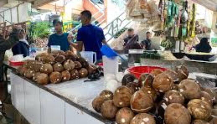 Harga Kelapa Melonjak 100 Persen, Pedagang Keluhkan Sepinya Pembeli