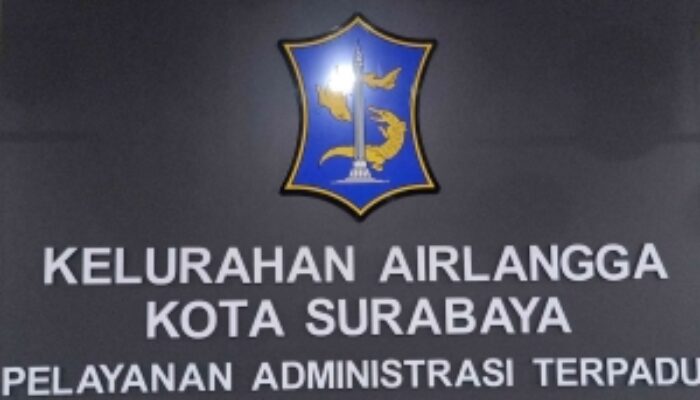“Edukasi Mitigasi Arsip Digital: Warga Kelurahan Airlangga Diajari Selamatkan Dokumen Berharga dari Ancaman Kerusakan”