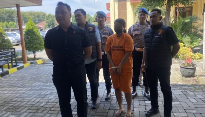 Ibu di Lumajang Tipu 195 Korban Lewat Modus Kredit Barang Elektronik, Kerugian Capai Rp 2,6 Miliar