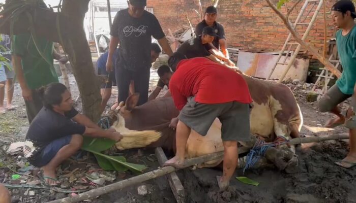 Anak Bakul Krupuk Ini Berkolaborasi Dengan Pemuda Muhammadiyah Cabang Sukodono Untuk Berbagi Keceriaan bersama Panti Asuhan Se-Sukodono
