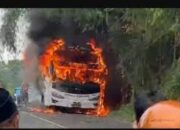 Bus Pahala Kencana Terbakar di Bangkalan, Polisi Temukan Dua Karung Rokok Ilegal