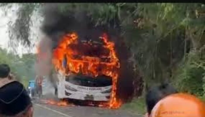 Bus Pahala Kencana Terbakar di Bangkalan, Polisi Temukan Dua Karung Rokok Ilegal