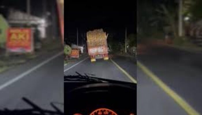 Truk Oleng di Lumajang Viral, Sopir Kabur Usai Aksi Ugal-ugalan Diduga untuk Konten