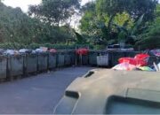 Viral Video Diduga Kucing di TPS Surabaya Diambil untuk Pakan Ular, Warga Setempat Membantah