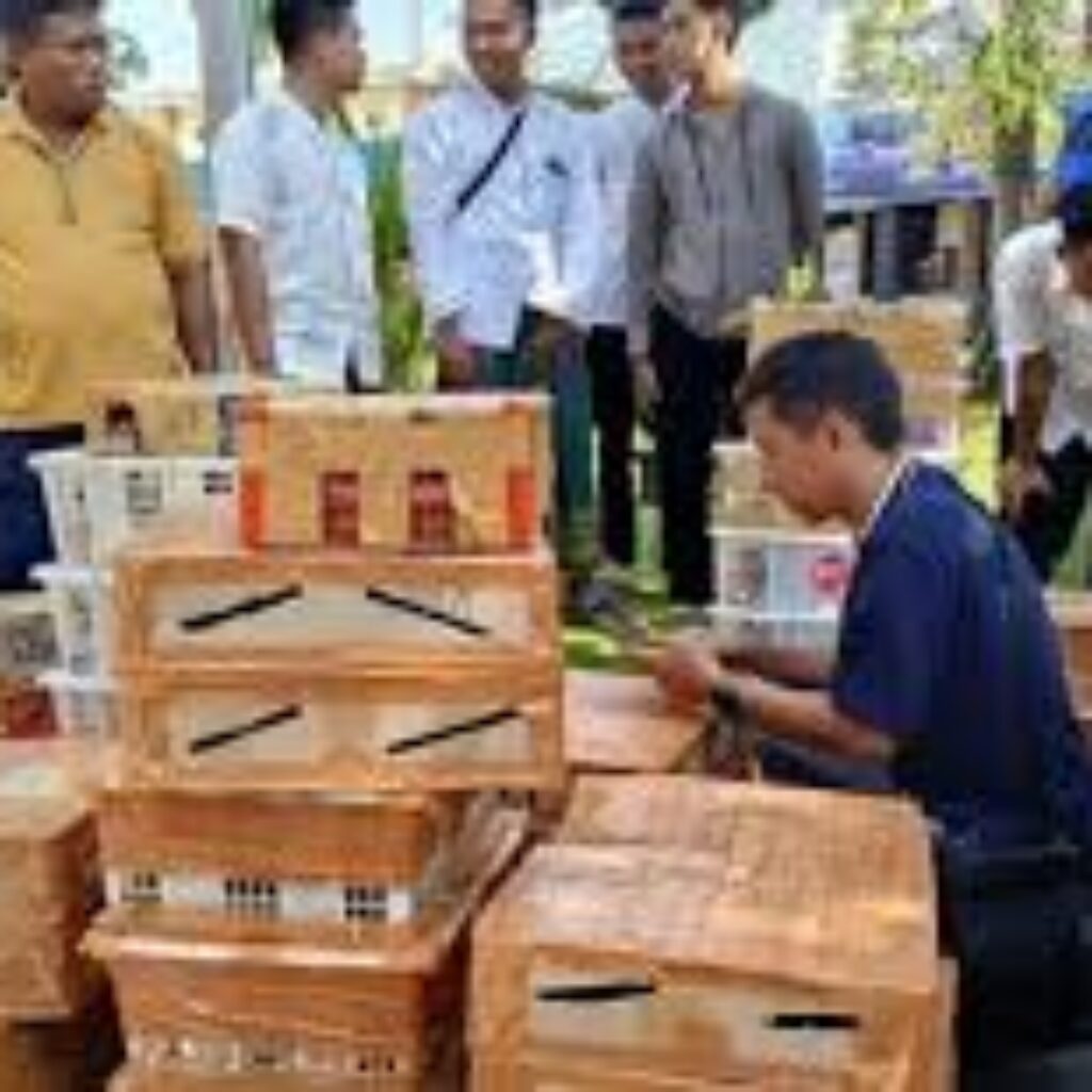 Ditpolairud Polda Jatim Gagalkan Penyelundupan 466 Burung Liar dari Kalimantan, 105 Ditemukan Mati