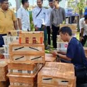 Ditpolairud Polda Jatim Gagalkan Penyelundupan 466 Burung Liar dari Kalimantan, 105 Ditemukan Mati
