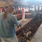 Curigai 4 Sosok Misterius, Polisi Usut Penemuan Kepala Kucing di Pasar Sepanjang Taman