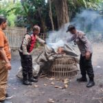 Tindaklanjuti Laporan Warga, Polsek Balongbendo Bakar Arena Sabung Ayam di Desa Seketi Balongbendo