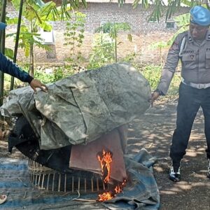 Tak Kapok! Arena Sabung Ayam di Balongbendo Digerebek untuk Kedua Kalinya