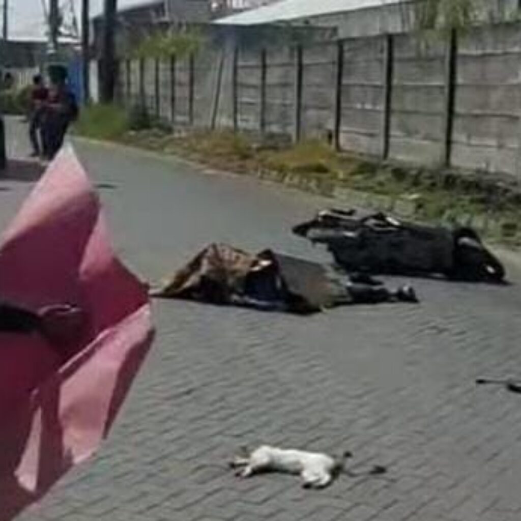 Kucing Jadi Pemicu, Jalan Raya Jadi Pemisah Nyawa: Tragisnya Kecelakaan di Sidoarjo
