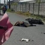 Korban dan kucing yang ditabrak sama-sama tewas di TKP