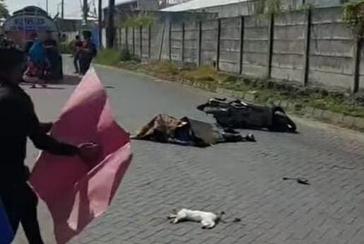 Korban dan kucing yang ditabrak sama-sama tewas di TKP