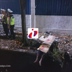 Kecelakaan Tunggal di Depan PT. CPP Bringinbendo Taman, Pengendara Honda CBR Tewas di Tempat