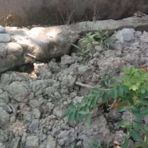 Diduga Tidak Transparan dan Menggunakan Material Tidak Sesuai RAB, Proyek Paving Blok di Bontomanai Jadi Sorotan   