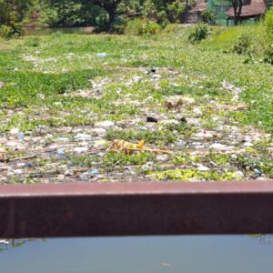 Ketika Sungai di Siwalan Panji Buduran Jadi Tempat Sampah, Ekosistem Rusak dan Bahaya Banjir Mengintai
