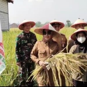 Panen Raya Padi di Pertapan Maduretno Taman, Wabup Sidoarjo Apresiasi Aspirasi Petani Merdeka