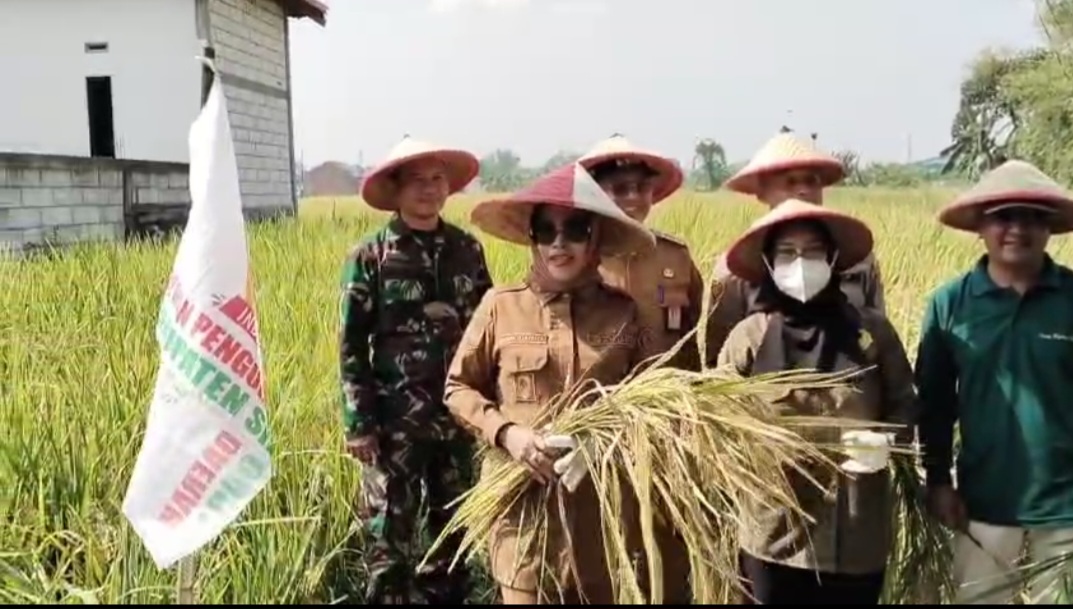 Wabup Sidoarjo Mimik Idayana saat menunjukkan hasil panen.