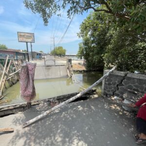Akses Wisata Tambak Lumpuh, Warga Sedati Andalkan Jembatan Kayu Darurat