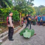 IMG 20251011 WA0073