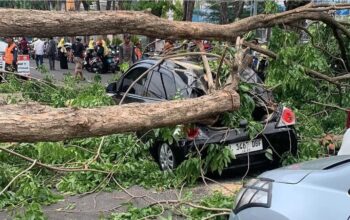 Screenshot 20251029 113415 Facebook