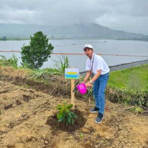 PLN Icon Plus dan PLN Grup Jawa Timur Tanam 10.000 Bibit Pohon di Bendungan Selorejo Peringati Hari Menanam Pohon Indonesia 2025