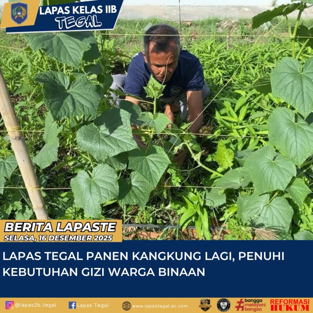 Lapas Tegal Panen Kangkung Lagi, Penuhi Kebutuhan Gizi Warga Binaan