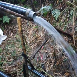 2025  PLN Hadir untuk Rakyat: Lewat Program “Menjaga Air Bumi untuk Bumi”, PLN UIP JBTB Alirkan Harapan di Desa Jelok, Kecamatan Cepogo, Kab. Boyolali