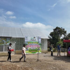 Hadirkan Harapan Baru di Desa Winong: PLN UIP JBTB dan Karang Taruna Sukses Panen Perdana 600 Buah Melon New Kinanti Hidroponik