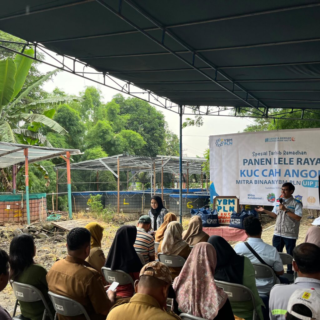 Panen Lele Raya di Gayungan, YBM PLN UIP JBTB Teguhkan Pemberdayaan Ekonomi Berkelanjutan